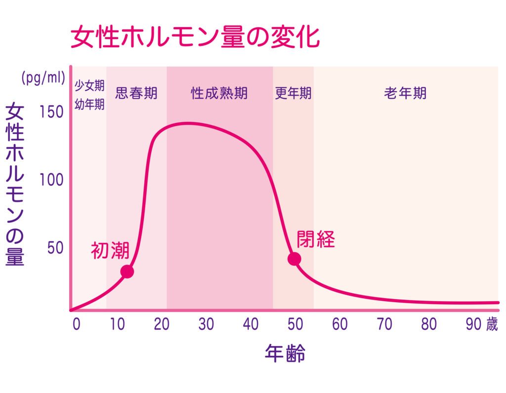 女性ホルモン量の変化　グラフ 
