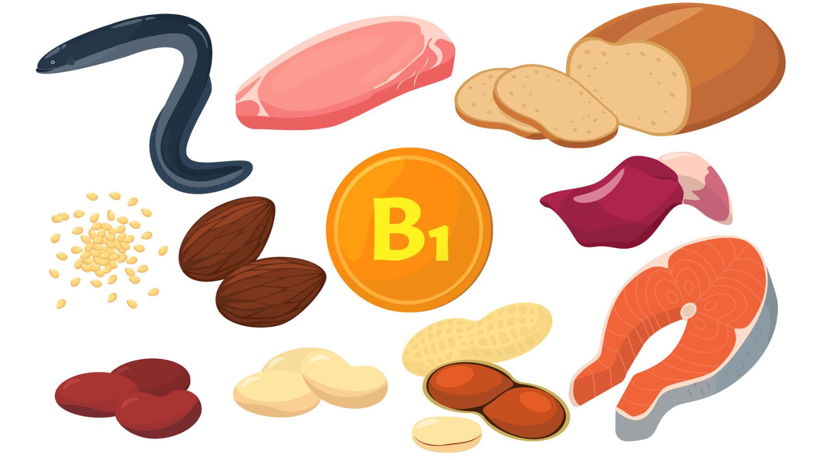 ビタミンB1を多く含む食材【食材種類別ランキングTOP10】
