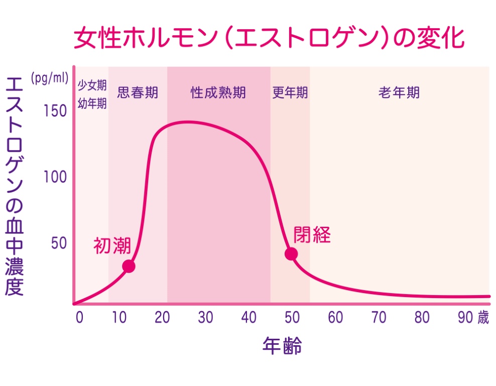 女性ホルモン量の変化　グラフ