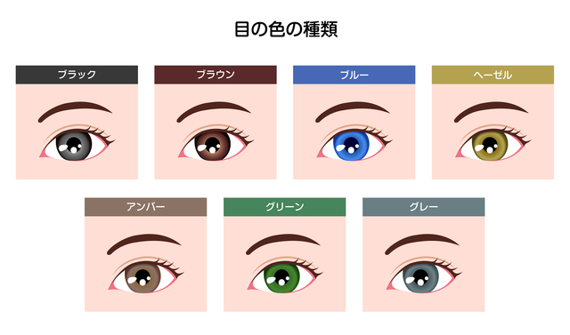 目の色の種類