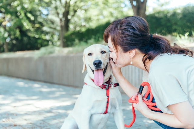 愛犬