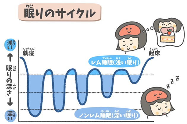 睡眠　レム　ノンレム