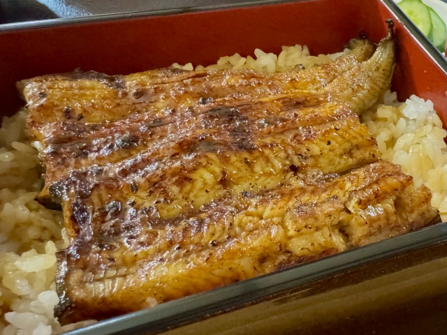 ビタミンB2 うなぎ