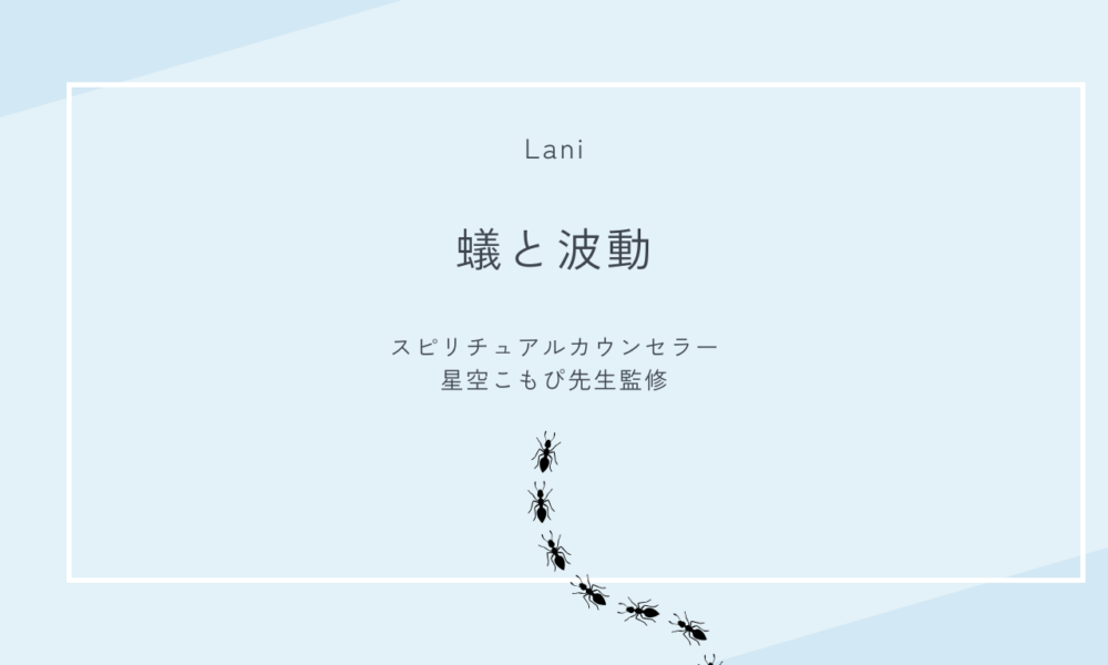 蟻と波動の関係性とは？蟻が多い場所は本当に波動が低いのかを徹底解説