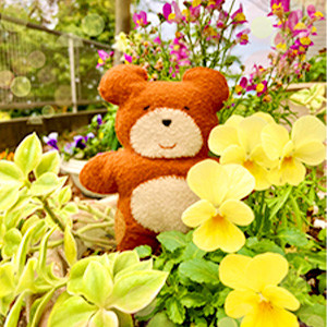 drawing*こぐま先生